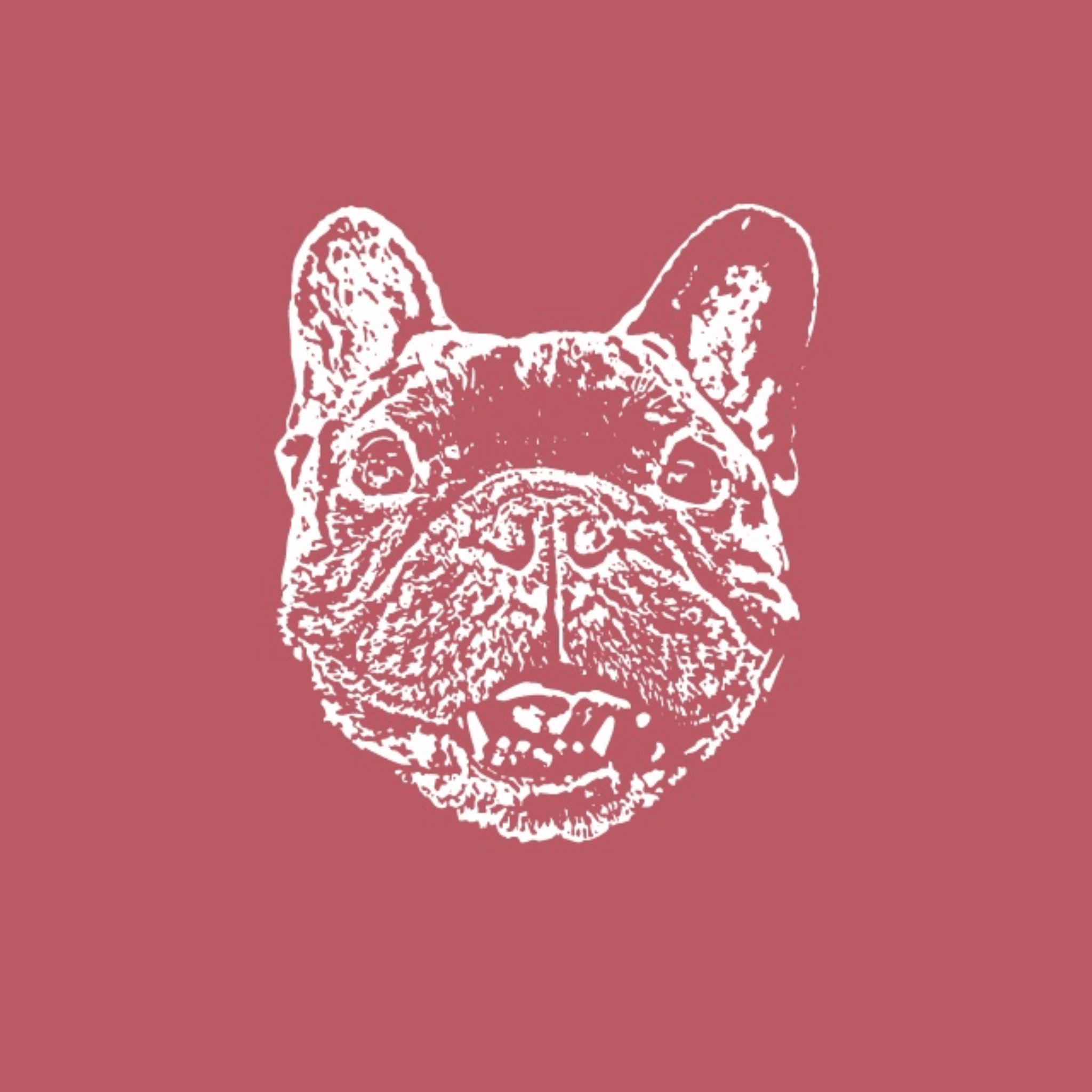 First Annual Rocky Day T-Shirt